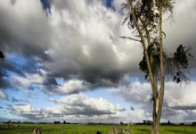 如何将日益增长的太阳能电力接入现有电网